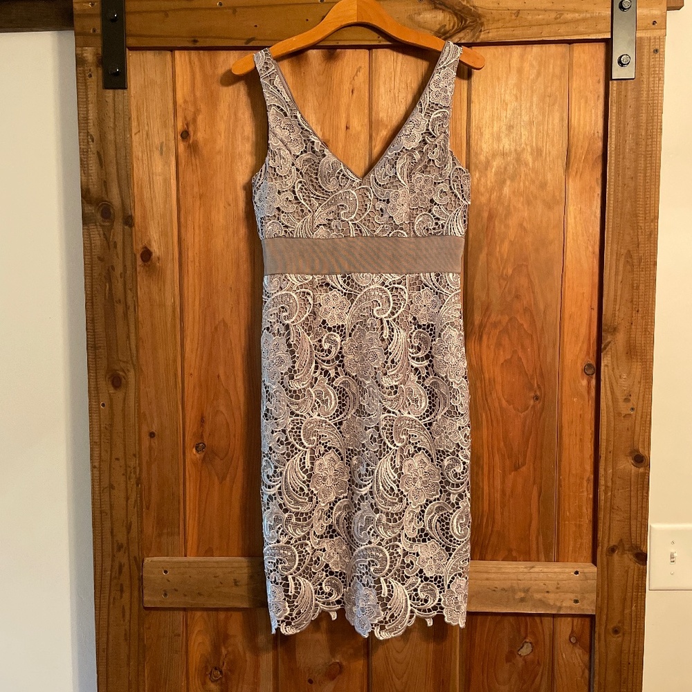 Elegant Lace V-Neck Dress